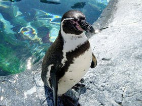 旭川サンホテル