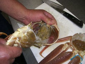 浜坂温泉　海べのおやど　丸文