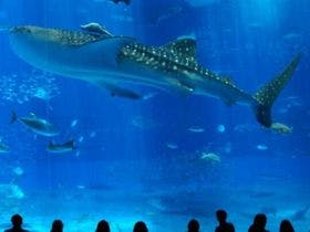 かりゆしコンドミニアムリゾート恩納　遊出来家