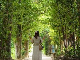 かりゆしコンドミニアムリゾート恩納　遊出来家