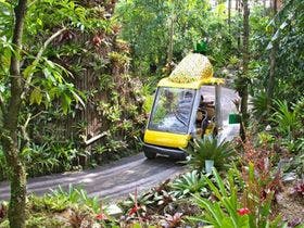 かりゆしコンドミニアムリゾート恩納　遊出来家