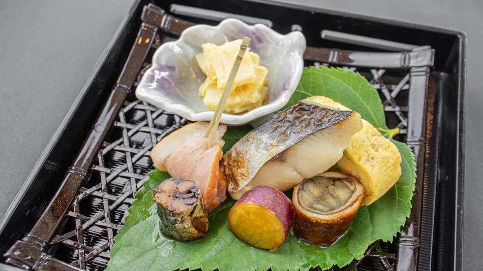 Nikko Toshogu Koyoen