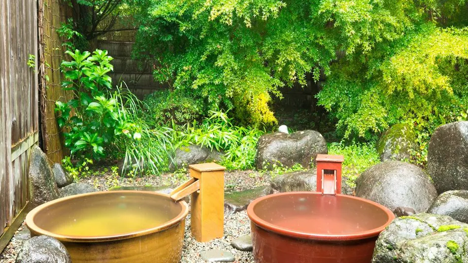 Nikko Toshogu Koyoen