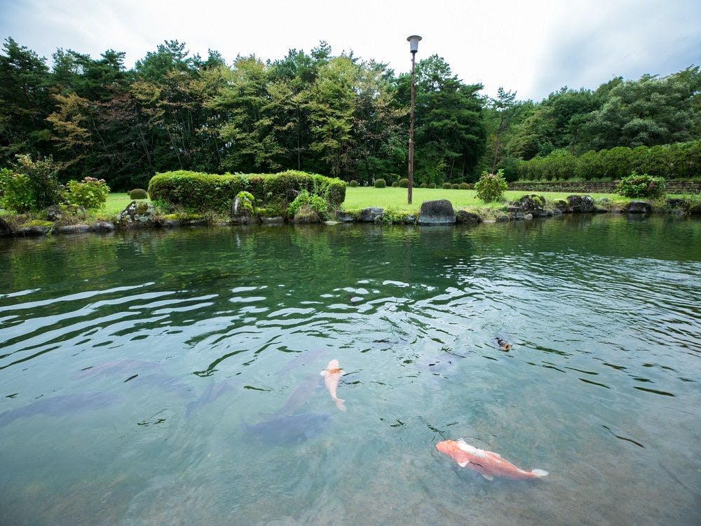 Nikko Toshogu Koyoen