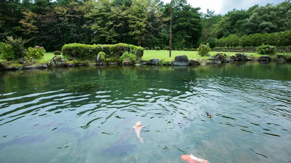 Nikko Toshogu Koyoen