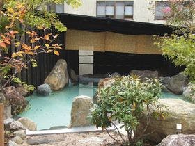 いろり湯の宿　大阪屋