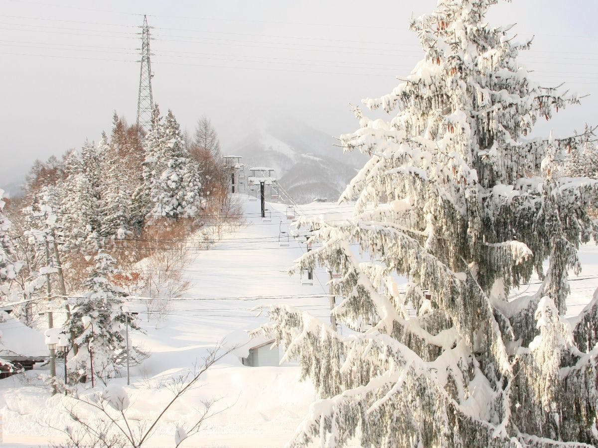 ที่พักของเราอยู่ตรงหน้าลานสกี!