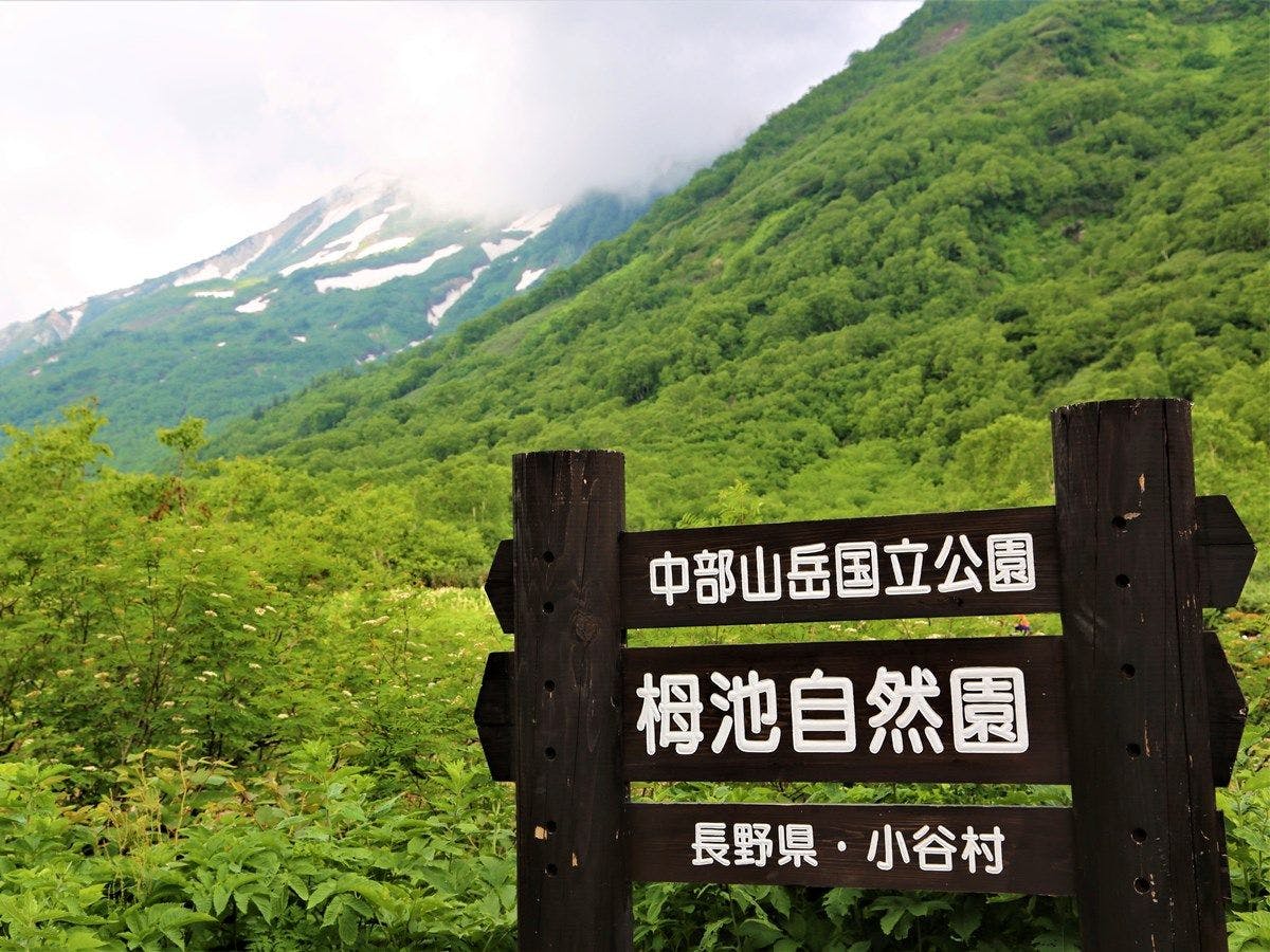 สวนธรรมชาติสึกะอิเคะ