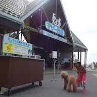 ฟาร์มแม่