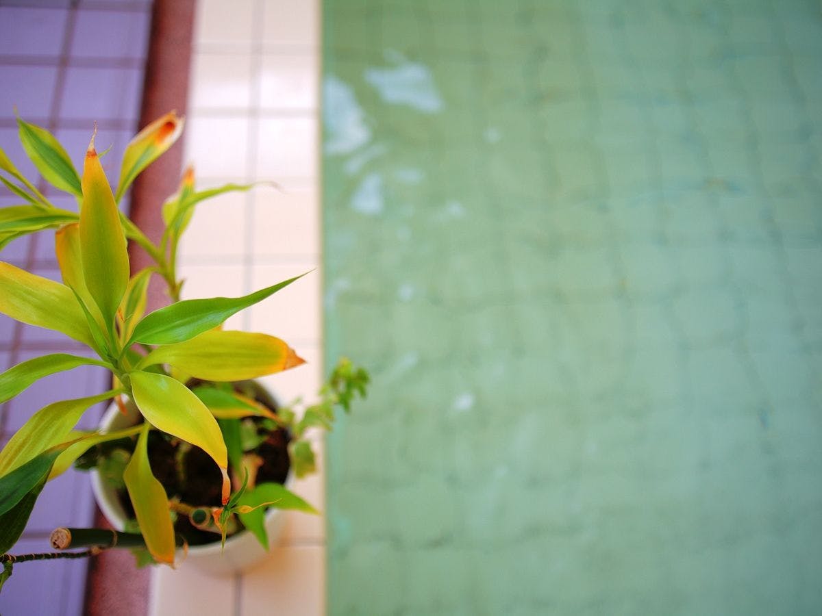 【ห้องอาบน้ำ】เวลาอาบน้ำ: 16:00～