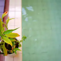 【ห้องอาบน้ำ】เวลาอาบน้ำ: 16:00~