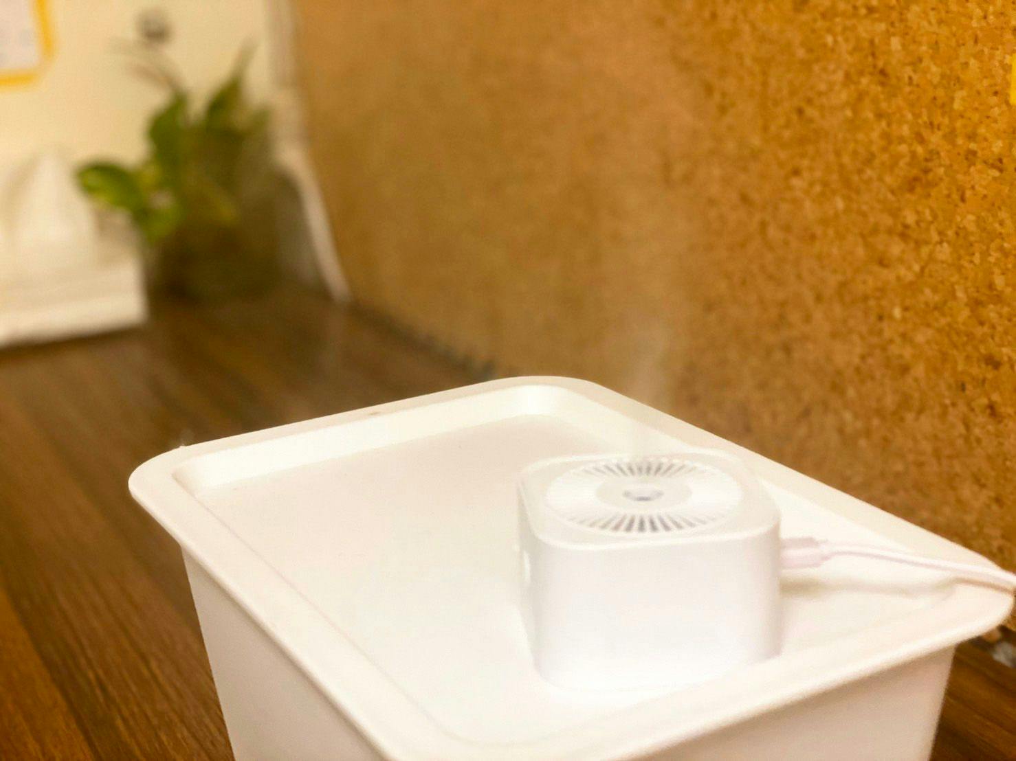 การฆ่าเชื้อในพื้นที่ด้วยเครื่องพ่น