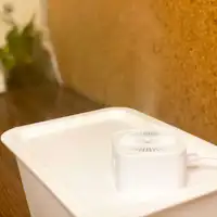 การฆ่าเชื้อในพื้นที่ด้วยเครื่องพ่น