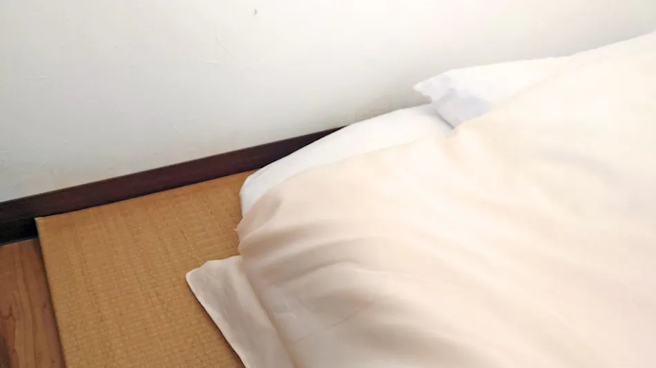 Zero Gravity Shimizu Villa