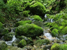 宿坊　御岳山荘