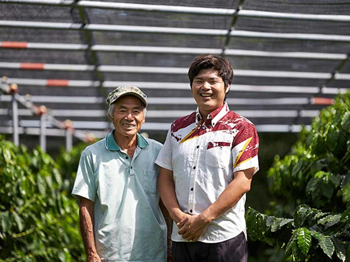Matayoshi Coffee Farm