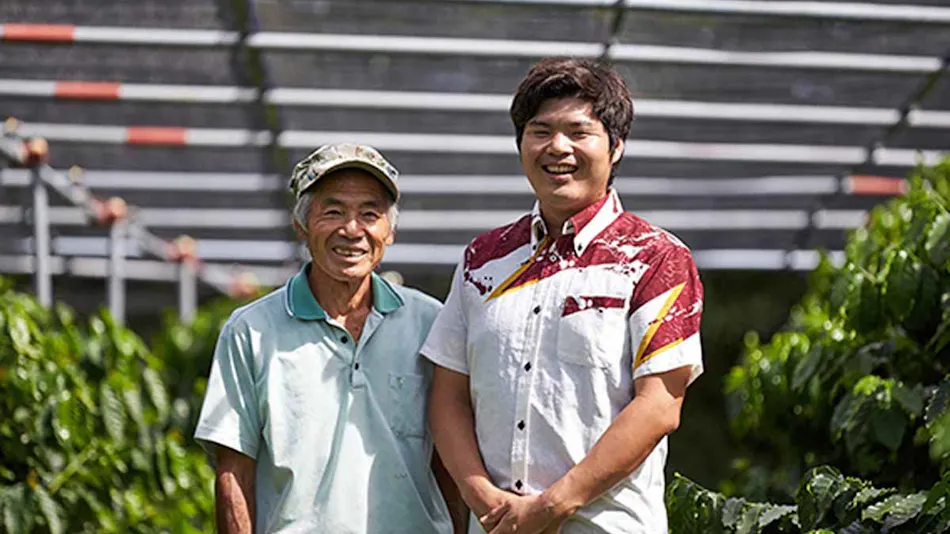 Matayoshi Coffee Farm