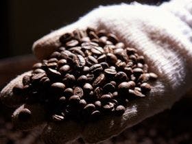 又吉コーヒー園