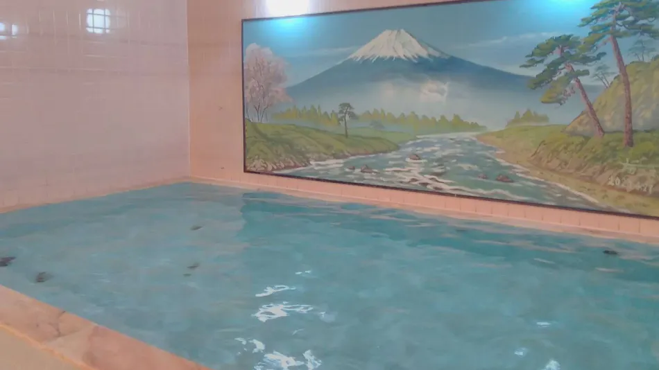 Tokyo Business Hotel