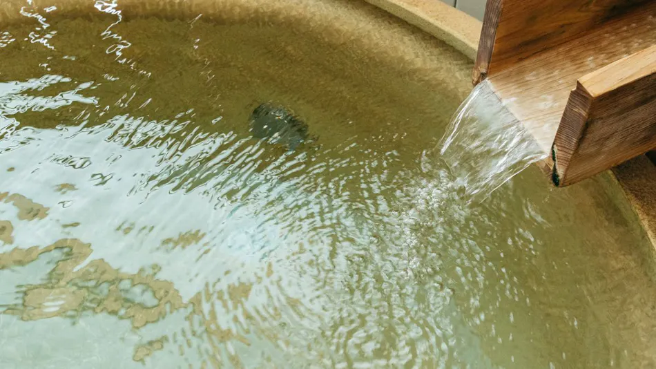 Kamenoi Hotel Yanagawa