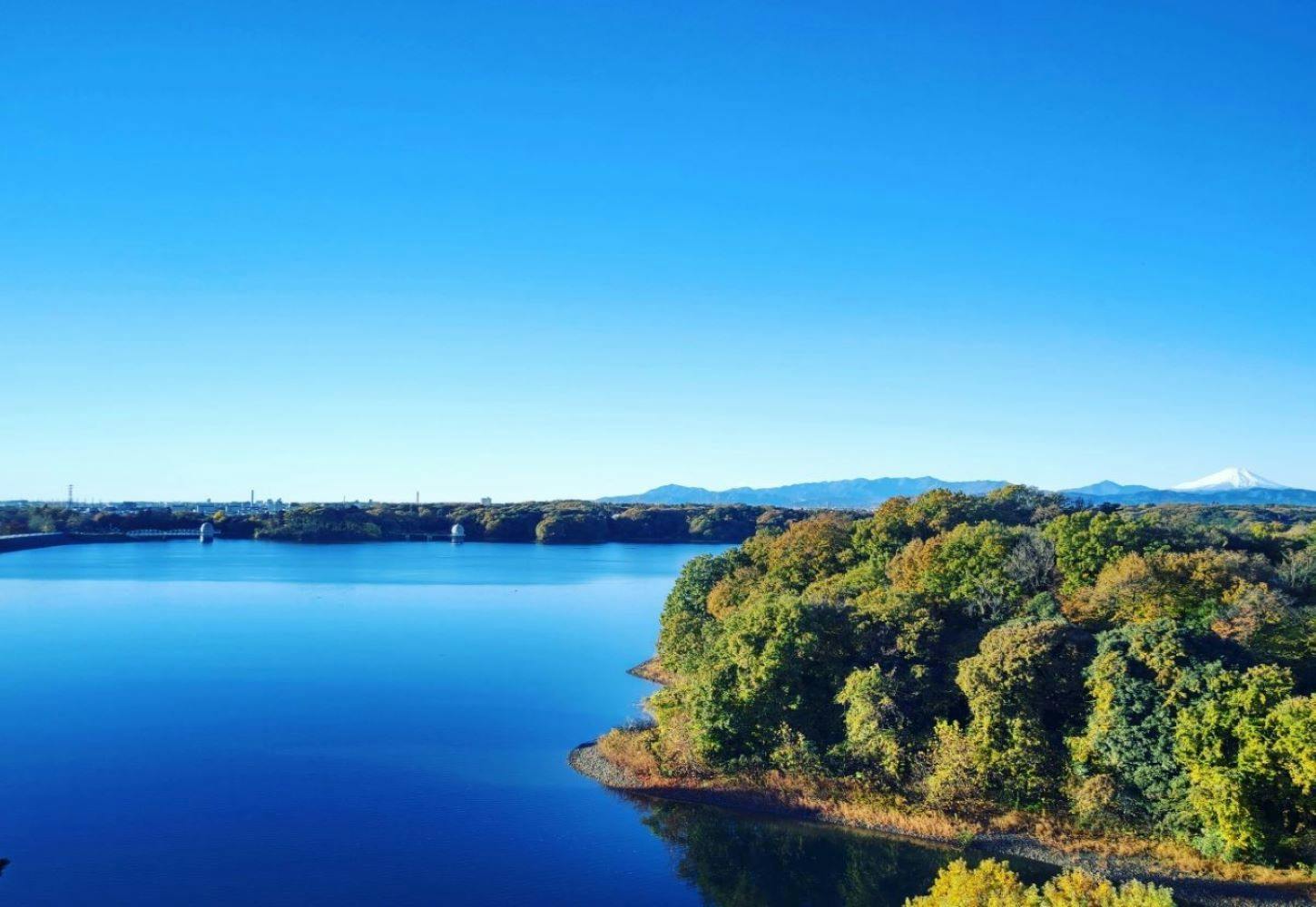 Chinese Cuisine Inn Kikusuitei