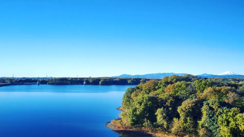 Chinese Cuisine Inn Kikusuitei