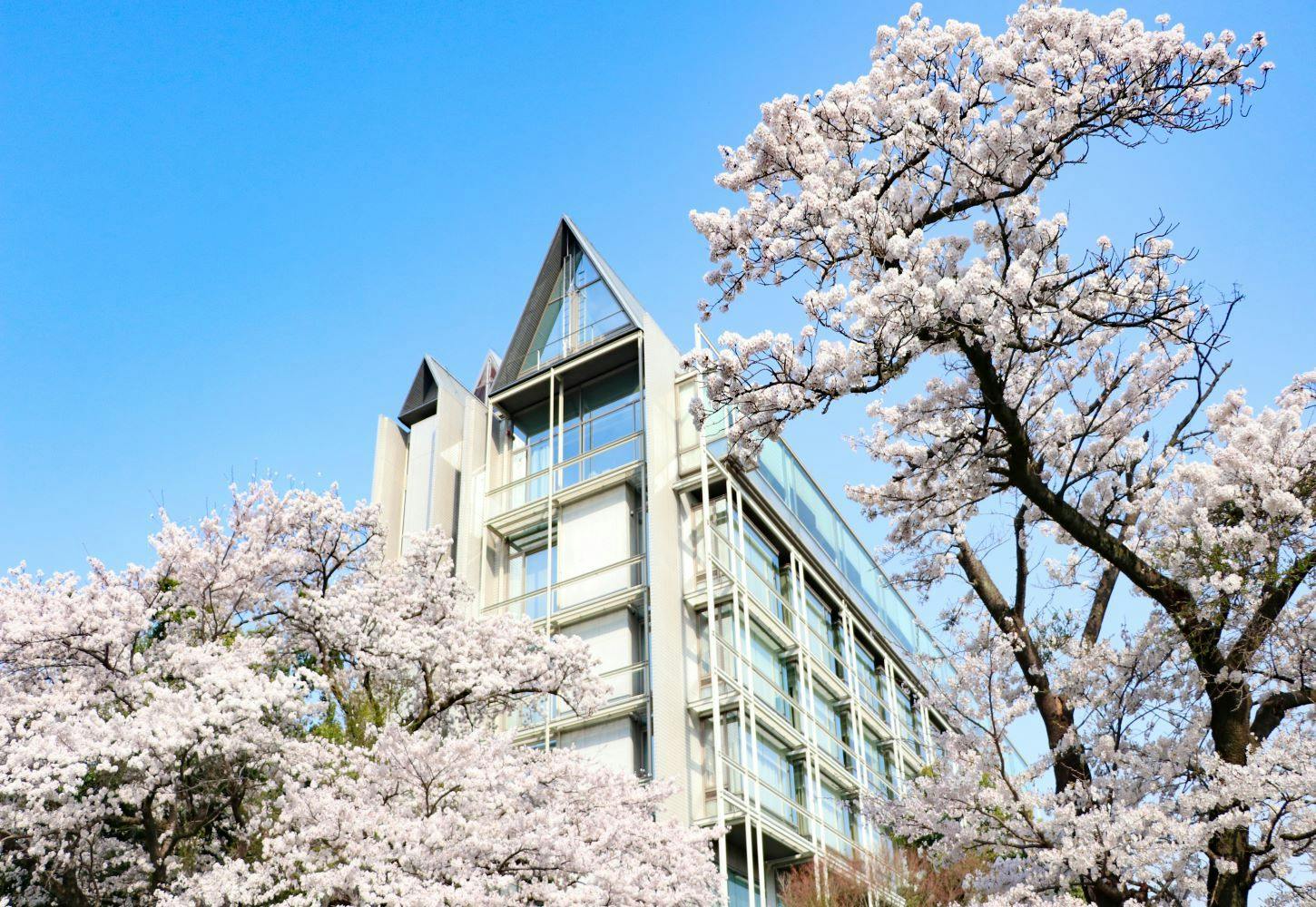 Chinese Cuisine Inn Kikusuitei