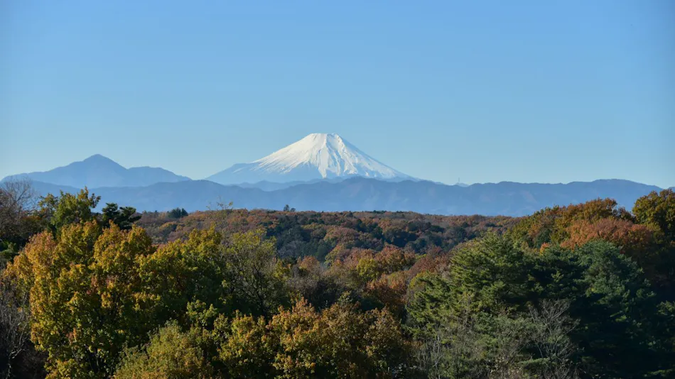 Chinese Cuisine Inn Kikusuitei