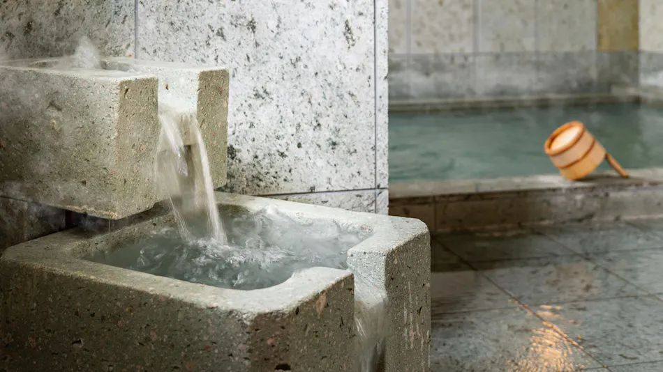 Natural Hot Spring Goshono-yu Super Hotel Kyoto Shijo Kawaramachi