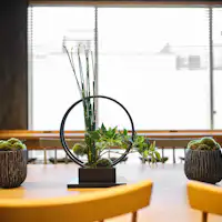 พูดถึงเกียวโต ก็ต้องนึกถึงชาเลย