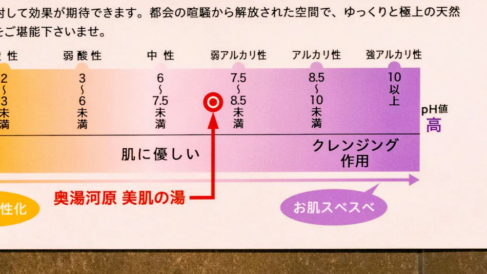 Super Hotel Ikebukuro Nishiguchi Natural Hot Spring