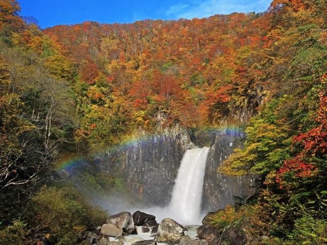 단풍 시즌이 추천됩니다.