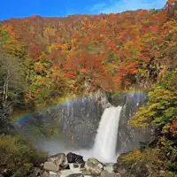 단풍 시즌이 추천됩니다.