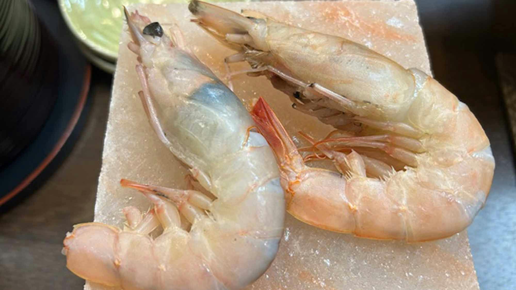 Udang asli　2 pelat garam batu Himalaya R
