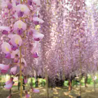 การเดินทางเพื่อพบกับทัศนียภาพที่งดงามที่โลกเลือก!