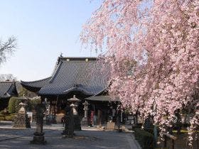 ホテル　わかさ