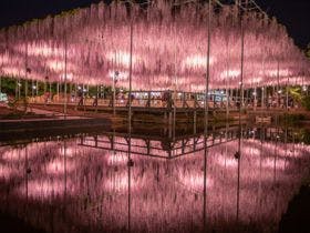 ホテル　わかさ