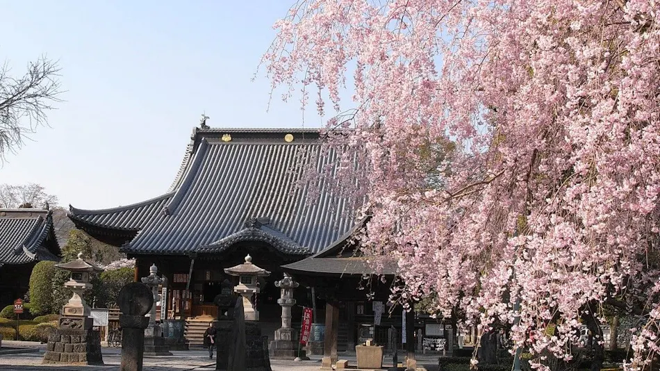 Hotel Wakasa