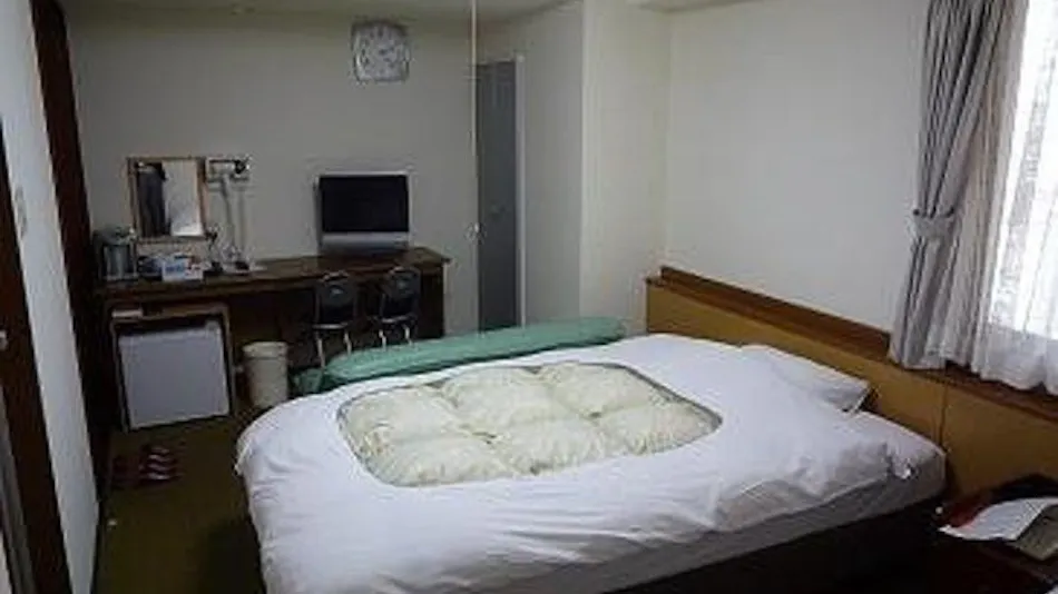 Hikone Station Hotel