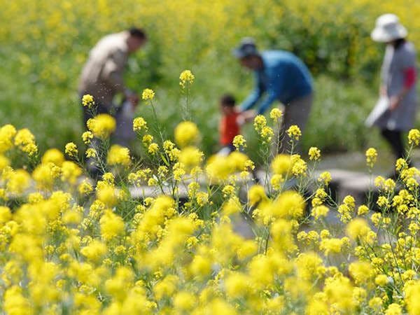 Nikmati pemandangan setiap musim