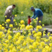 Nikmati pemandangan setiap musim