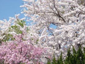 稲垣温泉ホテル花月亭
