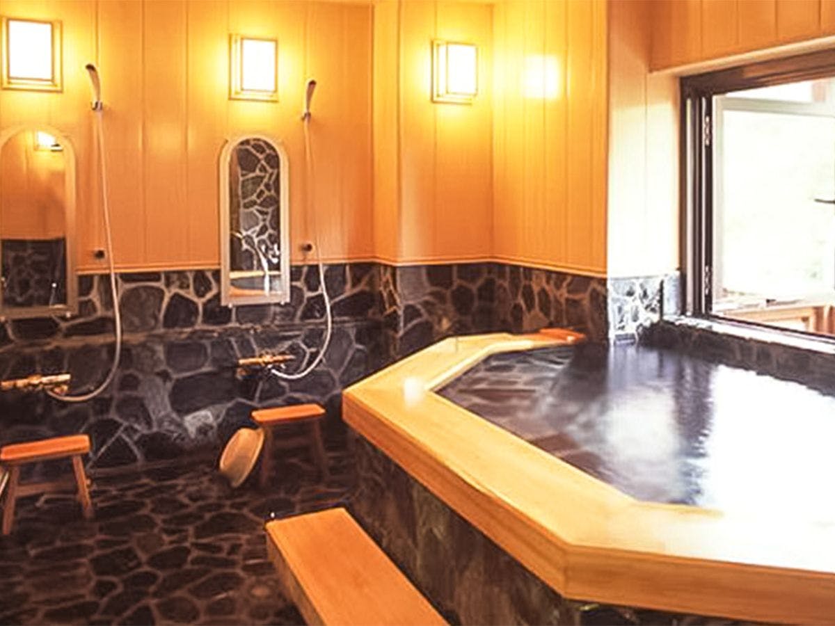 Echigo Yuzawa Onsen Garden Tower Hotel