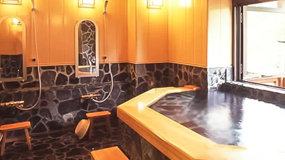 Echigo Yuzawa Onsen Garden Tower Hotel