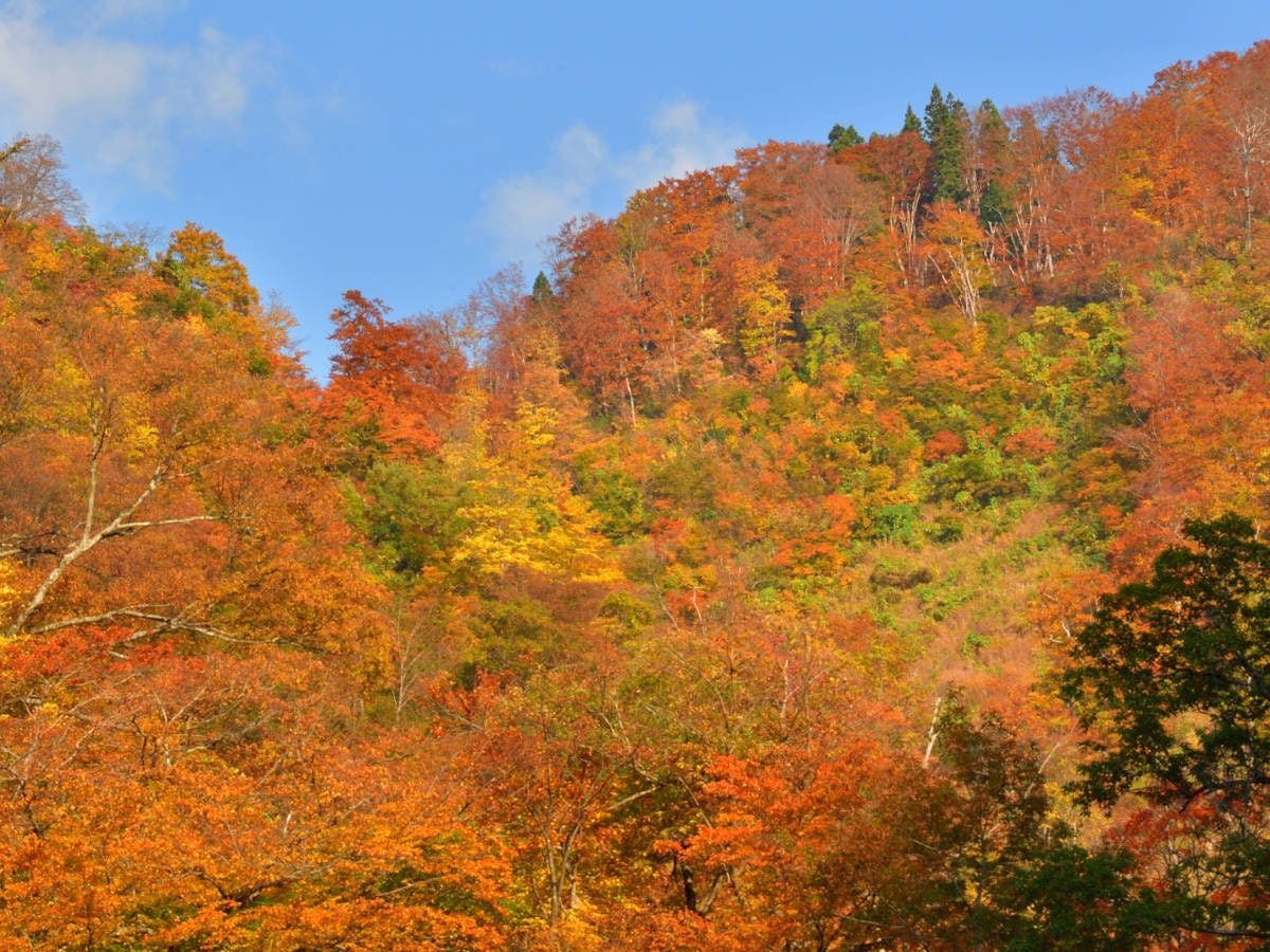 ใบไม้เปลี่ยนสีที่เอจิโกะยูซาวะที่ล้อมรอบด้วยธรรมชาติอันยิ่งใหญ่