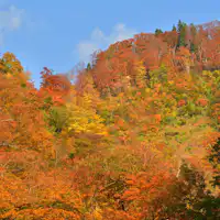 ใบไม้เปลี่ยนสีที่เอจิโกะยูซาวะที่ล้อมรอบด้วยธรรมชาติอันยิ่งใหญ่