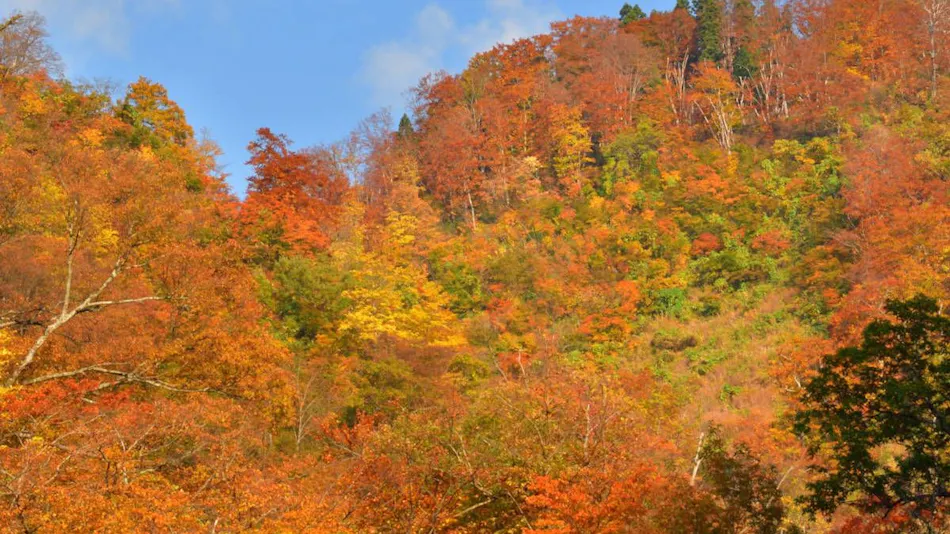 Echigo Yuzawa Onsen Garden Tower Hotel