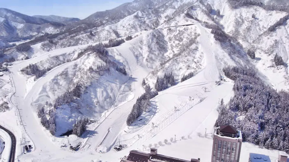 Echigo Yuzawa Onsen Garden Tower Hotel