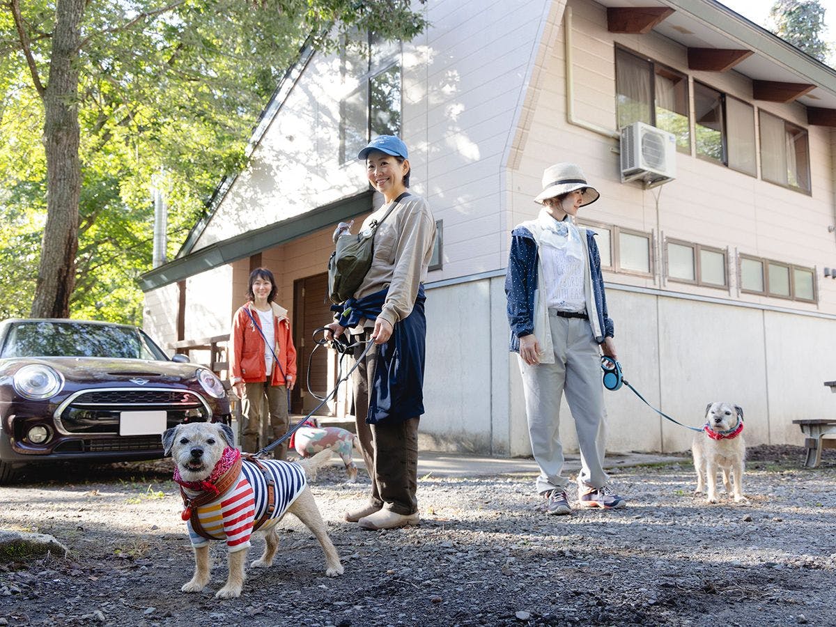 【강아지와 산책】