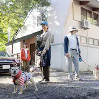 【강아지와 산책】